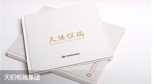 天陽恒瑞集團畫冊案例