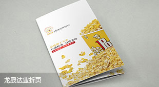 龍晟達(dá)業(yè)宣傳折頁設(shè)計(jì)