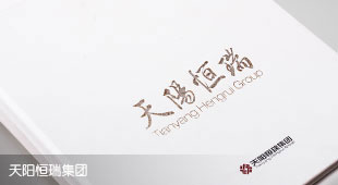 天陽恒瑞集團(tuán)宣傳冊設(shè)計(jì)