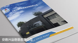 安信興業畫冊案例