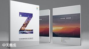 中天德成畫冊設(shè)計(jì)