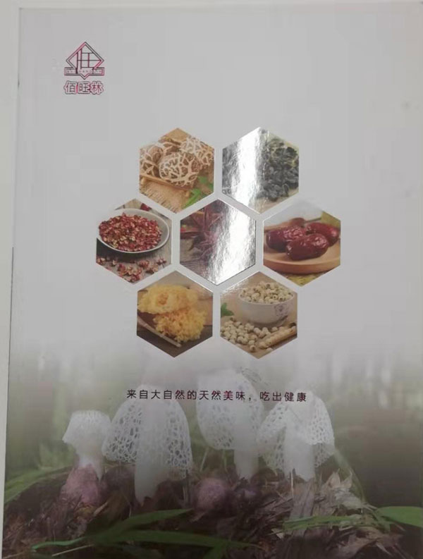 宣傳冊設計