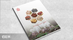 佰旺林宣傳冊設(shè)計(jì)