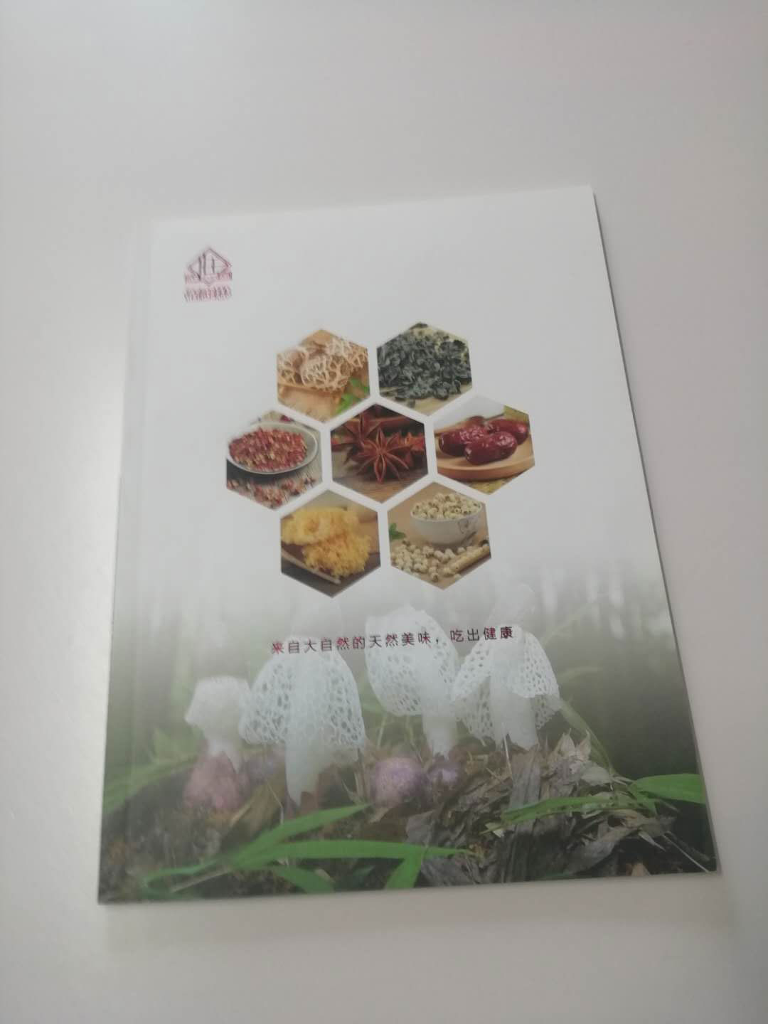 宣傳冊設計