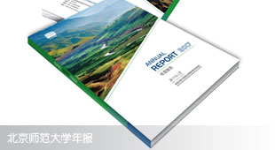北京師范大學(xué)年度報(bào)告設(shè)計(jì)