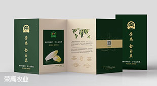 金玉蘭菊苣折頁設(shè)計(jì)
